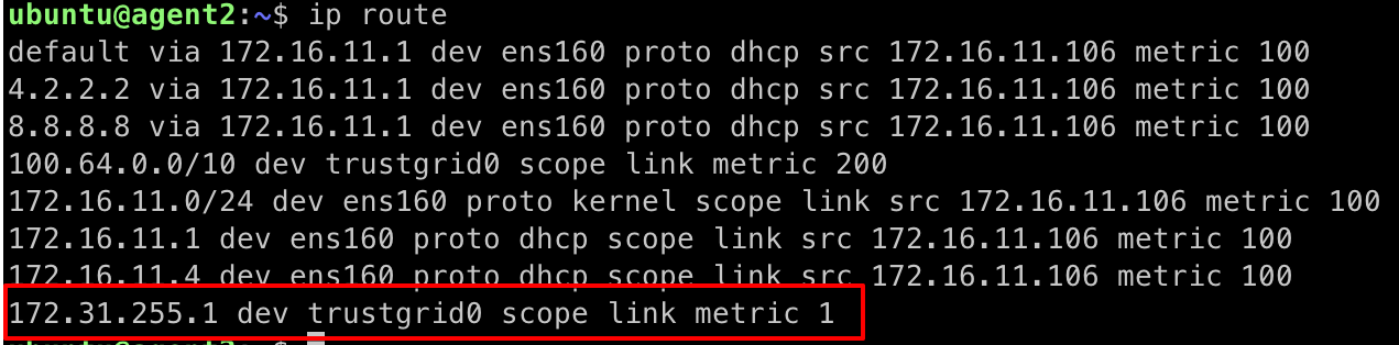 ip route output with the last line showing '172.31.255.1 dev trustgrid0 scope link metric 1'