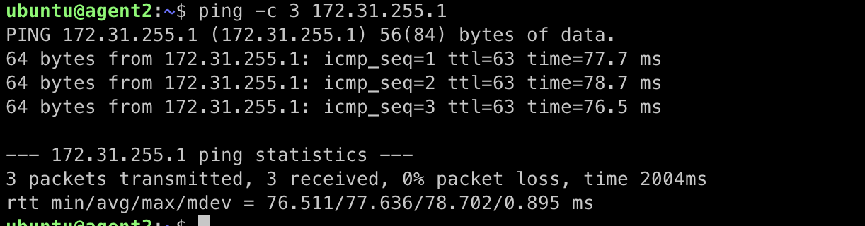 successful pings to 172.31.255.1